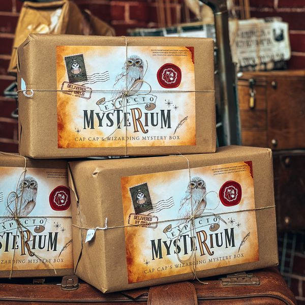 Expecto Mysterium Mystery Box