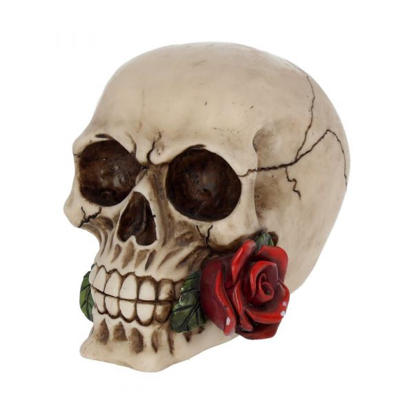 Rose From the Dead 15cm
