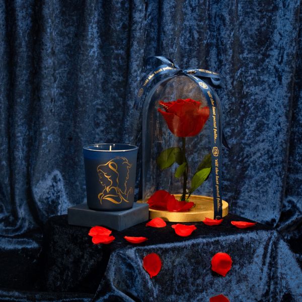 Rose & Aromatic Candle Beauty and the Beast
