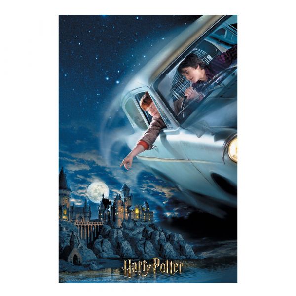 Harry & Ron Flying over Hogwarts 300pc lenticular puzzle