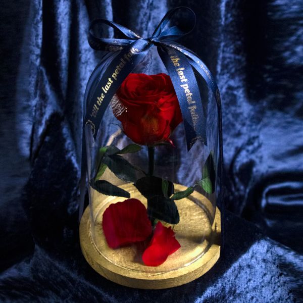 Beauty and the Beast - Rose